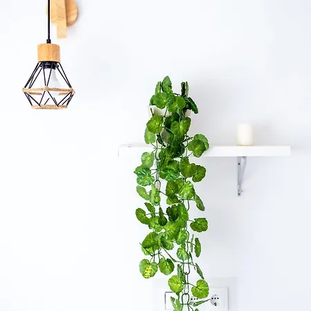 Habitación Cerca Aeropuerto