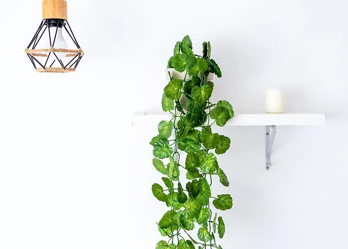 Habitación A 7 Mins Centro Turístico